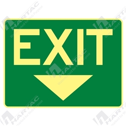 300*225 Metal Lum Exit With Down Arrow Luminous on Green