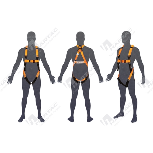 LINQ Essential Harness H101 Basic Entry Level Standard Size