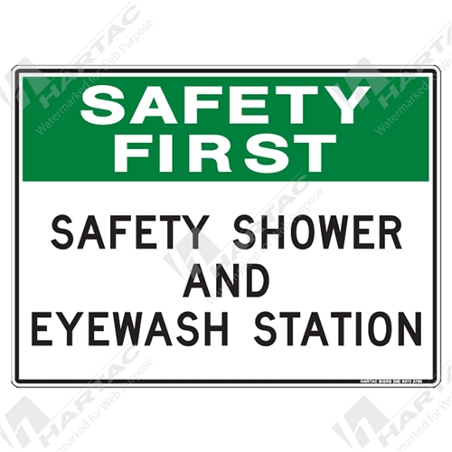 450*300 Safety First Metal Non-Ref Safety Shower And Eyewash Station Green & Black
