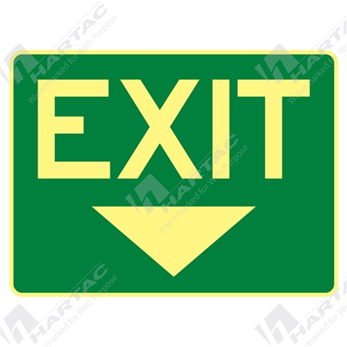 300*225 Metal Lum Exit With Down Arrow Luminous on Green
