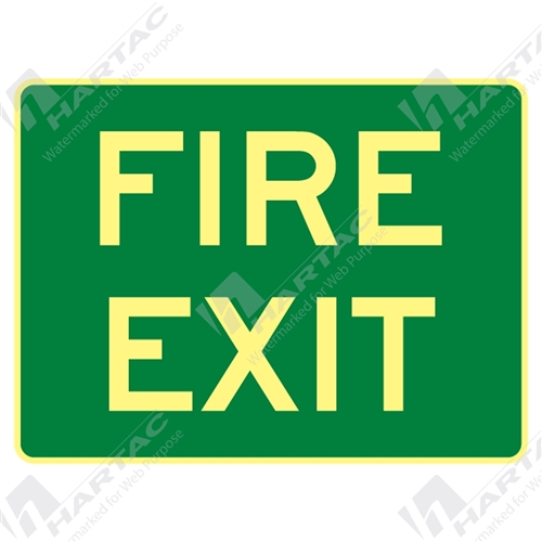 300*225 Metal Lum Fire Exit Luminous on Green