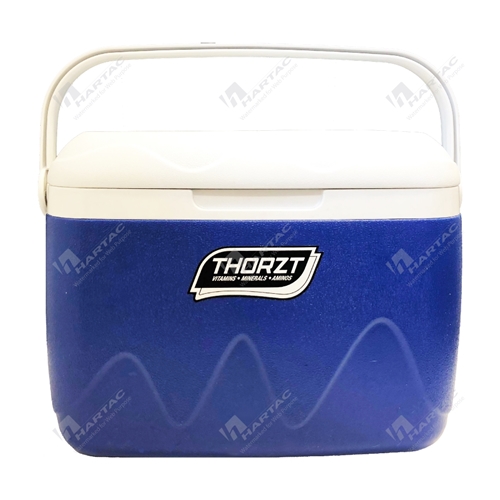 Thorzt 21L Ice Box