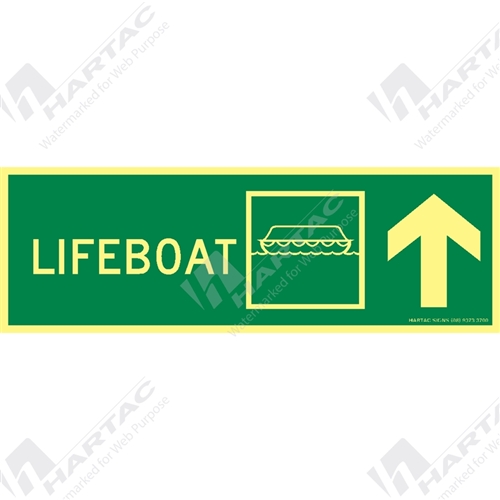 300*100mm - Marine S/A Lifeboat with Arrow Up on Right Green on Luminous