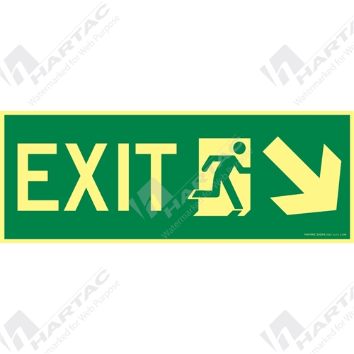 400*150mm - Marine S/A Exit with Picto + Arrow Down45 & Right - Luminous on Green