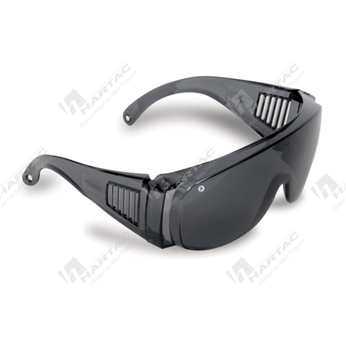 ProChoice Visitors Safety Glasses