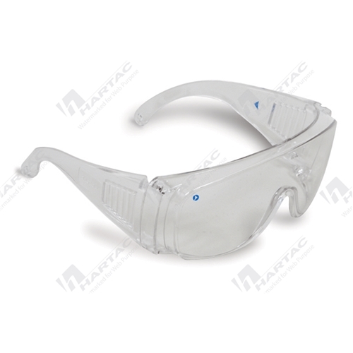 ProChoice Visitors Safety Glasses