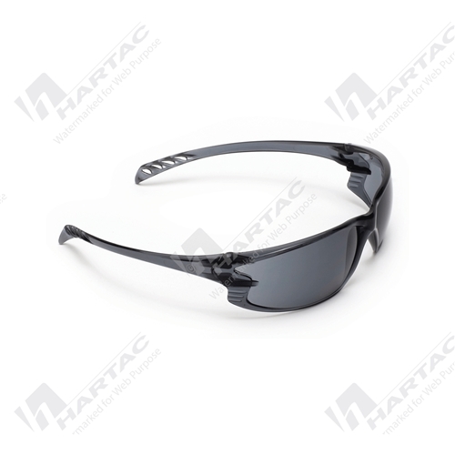 ProChoice 9900 Series Safety Glasses