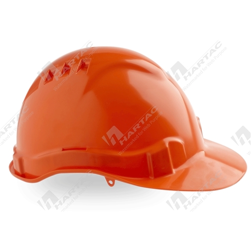 ProChoice V6 Vented Hard Hat w/ ProLock Harness
