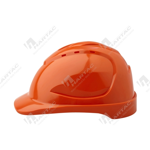 ProChoice V9 Vented Hard Hat w/ PinLock Harness